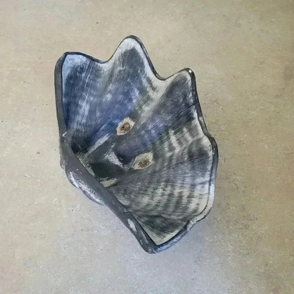 Shell Home Decor - Picture 5 of 5